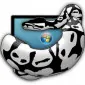 ITBoa